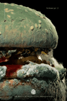 Oglivy Burger King Mouldy Whopper Image