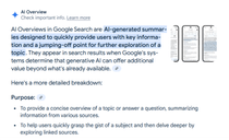 screenshot of Google’s AI overviews