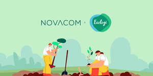 Novacom partners with Ecologi to plant 1,000 trees