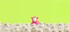 Standing out in a noisy world: building your digital marketing strategy