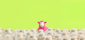 Standing out in a noisy world: building your digital marketing strategy