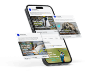 Social media advertising